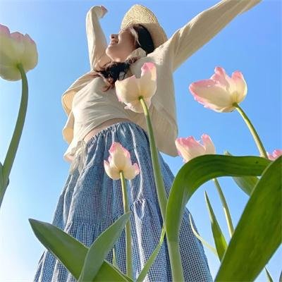 探险活宝第八季